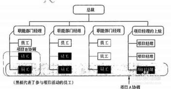 系统集成项目管理工程师考试 项目组织分类及山东信息系统集成服务公司的实践