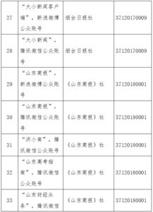 山东省互联网新闻信息服务平台许可与鲁企集成专业服务发展路径探索